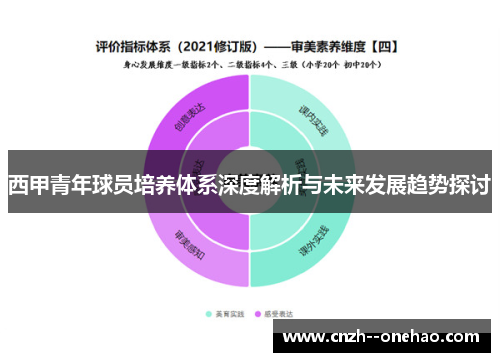 西甲青年球员培养体系深度解析与未来发展趋势探讨