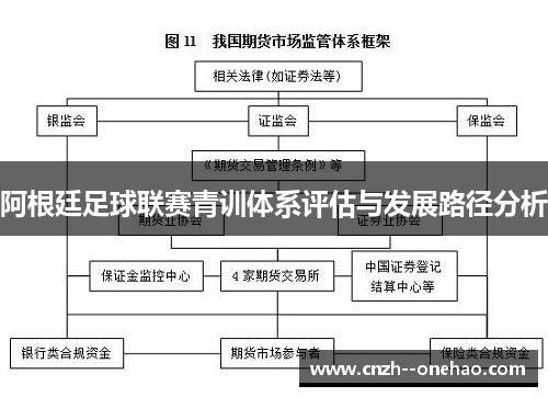 阿根廷足球联赛青训体系评估与发展路径分析