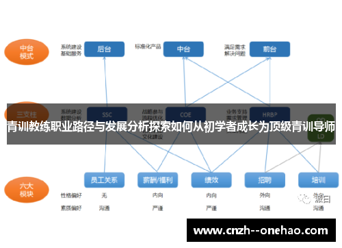 青训教练职业路径与发展分析探索如何从初学者成长为顶级青训导师