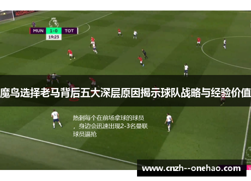 魔鸟选择老马背后五大深层原因揭示球队战略与经验价值 魔鸟选择老马背后五大深层原因揭示球队战略与经验价值